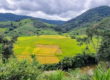 laos/muang-sing/landmark/the-hiker-travel-agency-laos