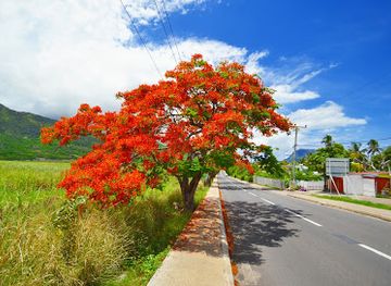 mauritius/plaines-wilhems/landmark/creative-informatics-ltd