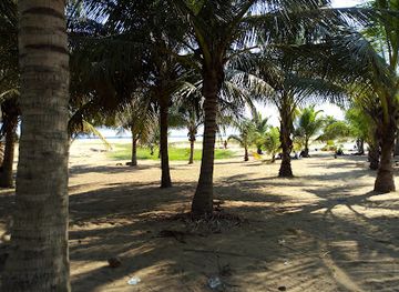 togo/agbodrafo/landmark/plage-de-lome