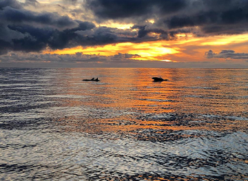 portugal/faro/landmark/ocean-vibes-algarve