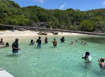 antigua-and-barbuda/dickenson-bay/landmark/wadadli-cats
