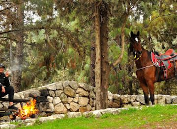 israel/jerusalem/landmark/the-peace-forest