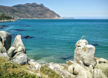 south-africa/cape-town/hout-bay/landmark/bronze-leopard