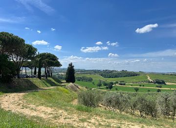italy/montepulciano/landmark/bindella