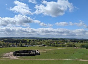 denmark/silkeborg/landmark/silkeborg-rovfugleshow
