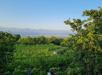 georgia/kakheti/landmark/togonidze-s-wine-cellar