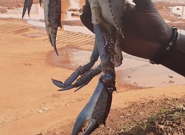 guinea-bissau/biombo-region/landmark/praca-dos-martires