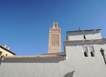 algeria/tlemcen-region/landmark/museum-of-art-and-history-the-city-of-tlemcen