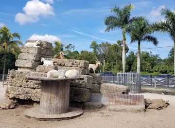 florida/homestead/landmark/robert-is-here-fruit-stand