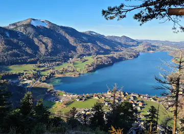 Ellmaustein