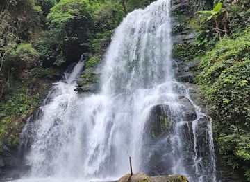 thailand/doi-inthanon/landmark/pha-dok-sieo-nature-trail