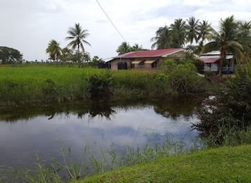 suriname/saramacca-district/landmark/commewijne