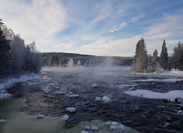 norway/trysil/landmark/norwegian-forestry-museum