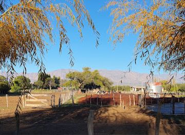 argentina/cafayate/landmark/cafayate-goats-s-a