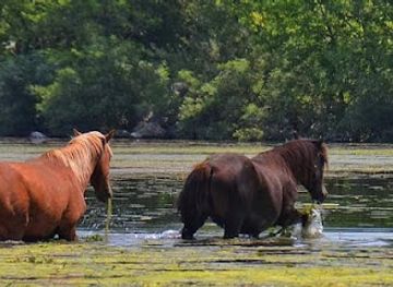 romania/moldova-area/landmark/ostrovul-moldova-veche