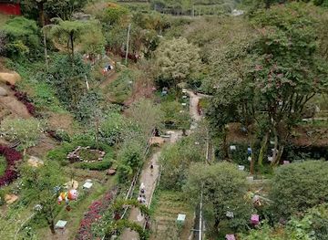 malaysia/cameron-highlands/landmark/ee-feng-gu-bee-farm