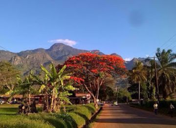 tanzania/morogoro/landmark/africasana-tours-and-safaris-company