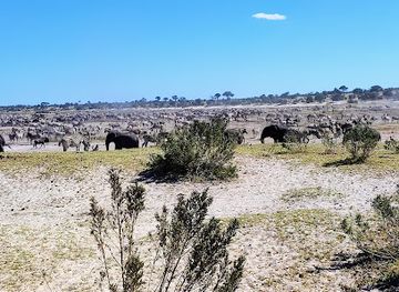 botswana/kalahari-desert/landmark/makgadikgadi-pans-national-park