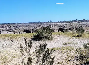 Makgadikgadi Pans National Park