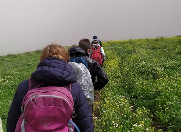 israel/jezreel-valley/landmark/nahal-mizga