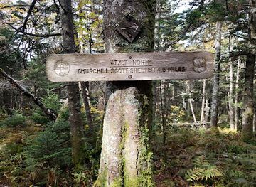 vermont/rutland-county/landmark/coolidge-state-forest