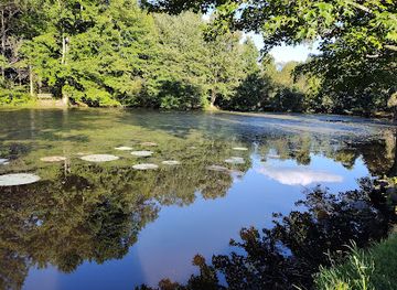 delaware/white-clay-creek-state-park/landmark/judge-morris-estate-white-clay-creek-state-park