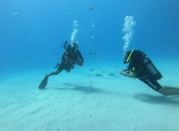 mauritius/trou-aux-biches/landmark/bubble-diving-center
