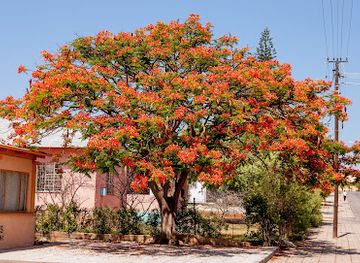 namibia/outjo/landmark/outjo-municipality