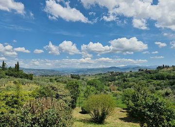 italy/valdarno/landmark/trattoria-omero
