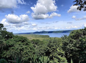 nicaragua/masaya-lowlands/landmark/flor-de-pochote