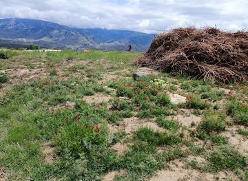 armenia/areni-wine-region/landmark/zorah-winery