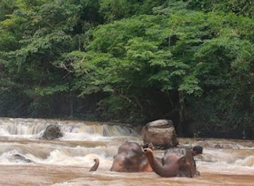cambodia/mondulkiri/landmark/boransotha