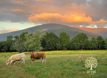portugal/serra-da-lousa/landmark/quinta-do-areal-operated-quotidiano-verde-lda