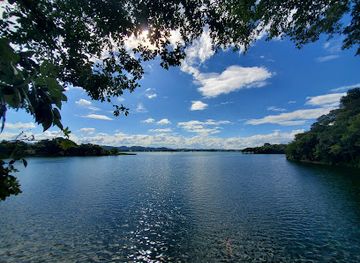 guatemala/tikal/landmark/jorge-s-rope-swing