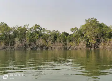 Sundarban Bangladesh Part