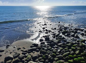 new-zealand/west-coast/landmark/puke-ariki