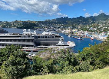 saint-vincent-and-the-grenadines/kingstown/landmark/topdawg-taxi-and-tours