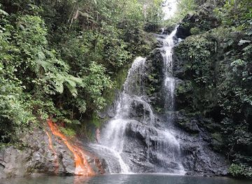 belize/dangriga/landmark/cockscomb-basin-wildlife-sanctuary