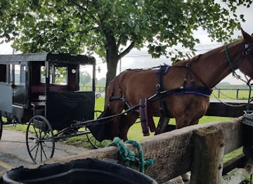 pennsylvania/amish-country/landmark/aaron-and-jessica-s-buggy-rides