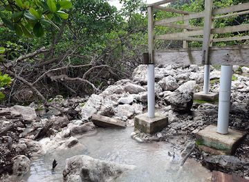 dominica/emerald-pool/landmark/cold-soufriere