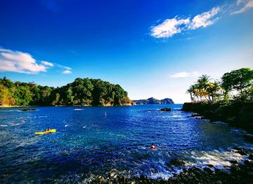 costa-rica/manuel-antonio/landmark/marina-pez-vela