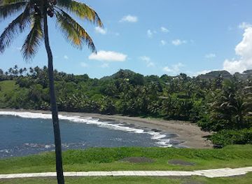 saint-vincent-and-the-grenadines/palm-island/landmark/rawacou-recreational-park