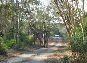 malawi/majete-wildlife-reserve/landmark/lengwe-national-park