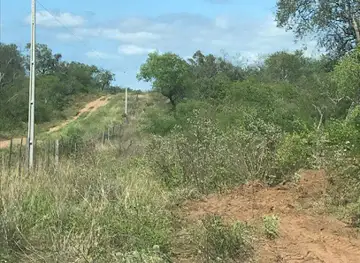 Médanos Del Chaco National Park