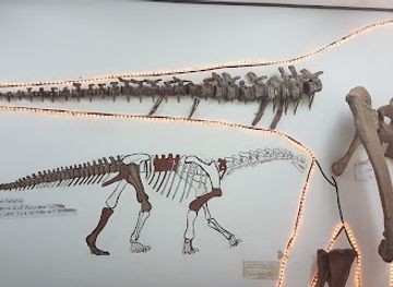 laos/savannakhet-province/landmark/savannakhet-dinosaur-museum