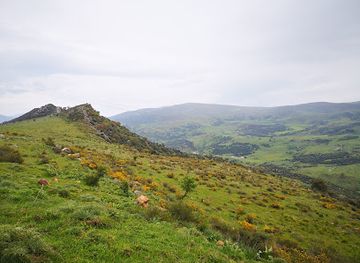algeria/metidja-plain/landmark/madjen-belahriti