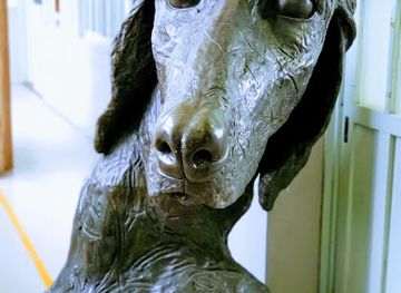 japan/chikugo/landmark/kyoseinosato-kurokawa-inn-museum