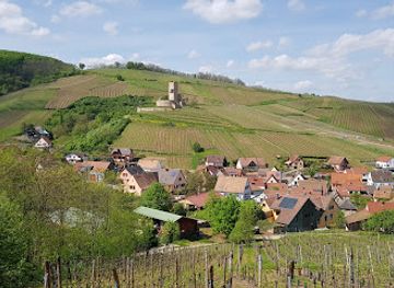 france/alsace-wine-route/landmark/castle-wineck