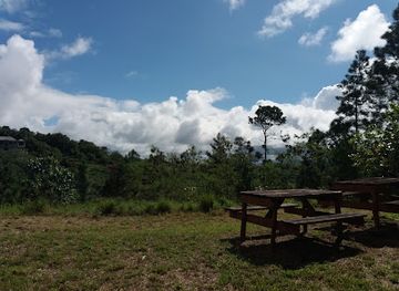 jamaica/manchester-plateau/landmark/forest-reserve-gourie-forest