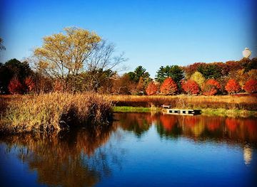 wisconsin/madison/landmark/edna-taylor-conservation-park